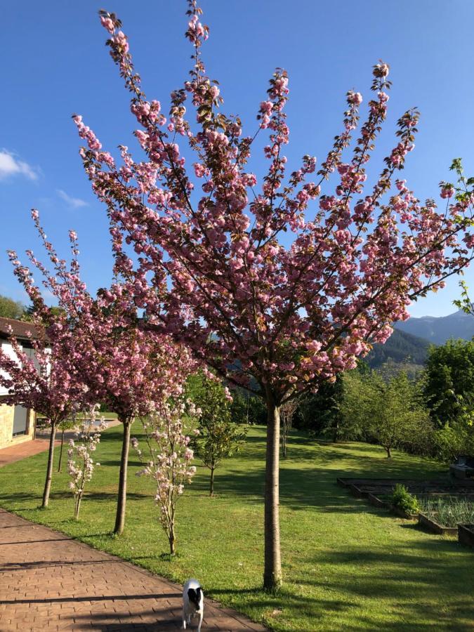 Apartamento Iturriotz Berezia Areatza Exterior foto